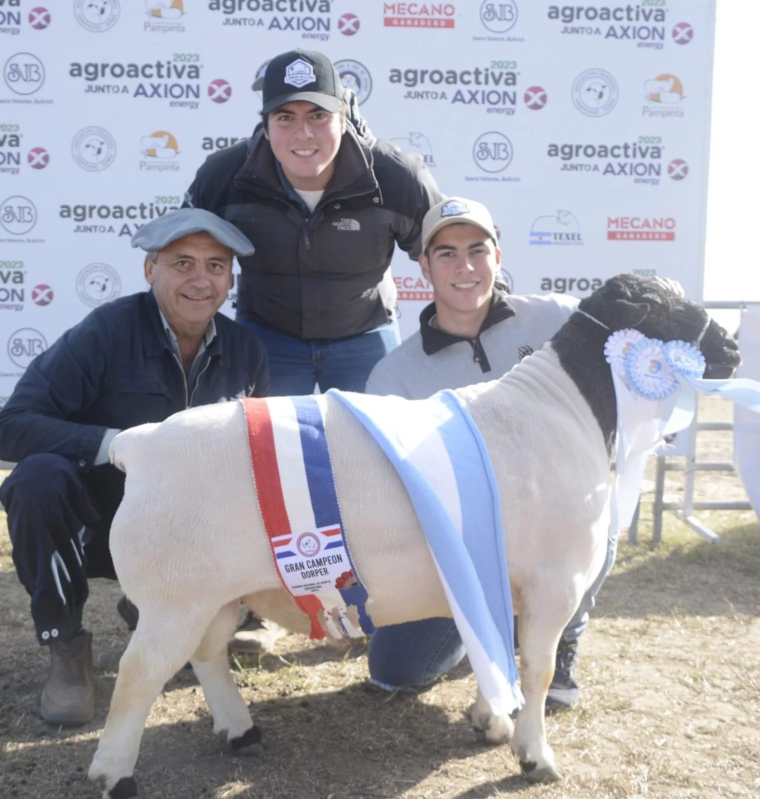 Agroactiva Ganadera tendrá la mayor exposición de reproductores ovinos 